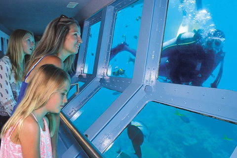Quicksilver Outer Great Barrier Reef Snorkel Cruise From Port Douglas - Accommodation Whitsundays 1