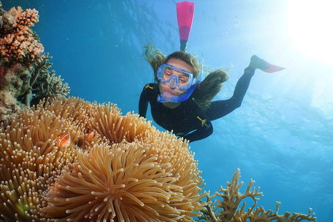 Quicksilver Outer Great Barrier Reef Snorkel Cruise From Port Douglas - Accommodation Whitsundays 2