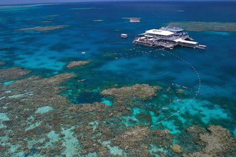 Quicksilver Outer Great Barrier Reef Snorkel Cruise From Port Douglas - Accommodation Whitsundays 3