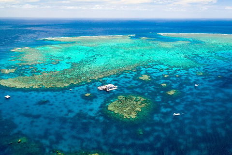 Quicksilver Outer Great Barrier Reef Snorkel Cruise From Port Douglas - Accommodation Whitsundays 5