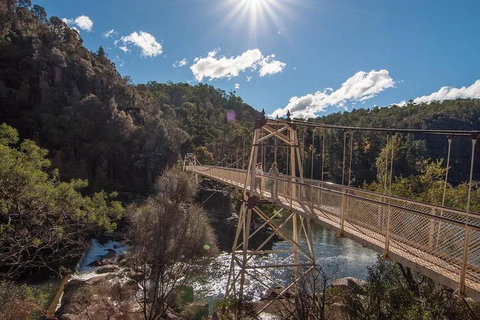 Launceston Private Charter Service - Accommodation Whitsundays 5