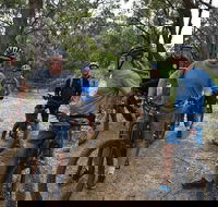 Fully guided E-Mountain Bike Tour on the beautiful Mornington Peninsula. - Accommodation Whitsundays
