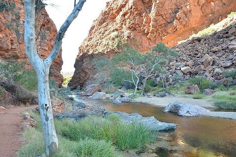 Alice Springs, Uluru Ayers Rock & Kings Canyon 8 Days Touring Package - Accommodation Whitsundays 2
