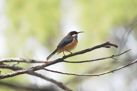 Private Blue Mountains Insider Tour From Sydney - Accommodation Whitsundays 2
