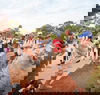 Uluru Kata Tjuta and Kings Canyon Camping Safari from Ayers Rock - Accommodation Whitsundays