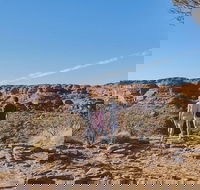 The Amazing Kings Canyon 4-Hours Walking Tour and Hike - Accommodation Whitsundays