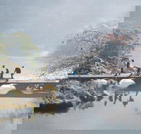 3.5 Hours Walking Tour to Cataract Gorge with Local Guide - Accommodation Whitsundays