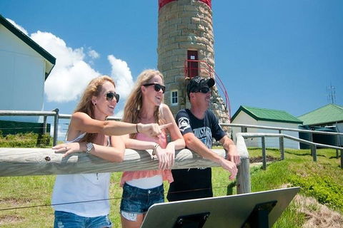 Full-Day Moreton Island 4x4 Sightseeing Tour - Accommodation Whitsundays 3