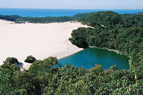 Full-Day Moreton Island 4x4 Sightseeing Tour - Accommodation Whitsundays 5