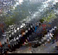 Active Day Tour One-Way from Launceston to Hobart via Wineglass Bay - Accommodation Whitsundays