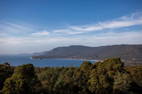 Port Arthur And Tassie Devils Active Day Tour From Hobart - Accommodation Whitsundays 5