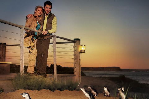 The Ultimate Melbourne Attractions Pass - Accommodation Whitsundays 3