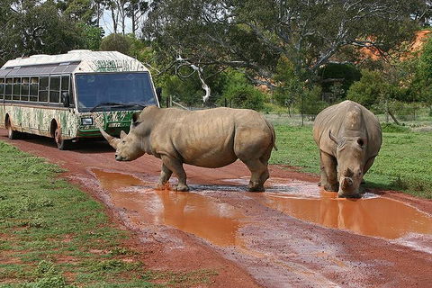 The Ultimate Melbourne Attractions Pass - Accommodation Whitsundays 4
