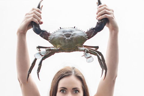 The Ultimate Gold Coast Attractions Pass - Accommodation Whitsundays 0