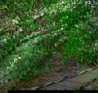 Green Island Eco Adventure from Cairns - Accommodation Whitsundays