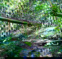 Double Pack-Ancient Rainforest and Waterfalls - Accommodation Whitsundays