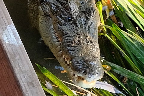 Litchfield Park Adventures And Jumping Crocodile Cruise + Butterfly Farm - Accommodation Whitsundays 1