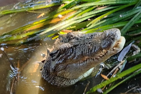 Litchfield Park Adventures And Jumping Crocodile Cruise + Butterfly Farm - Accommodation Whitsundays 4