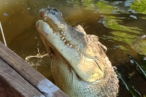 Litchfield Park Adventures And Jumping Crocodile Cruise + Butterfly Farm - Accommodation Whitsundays 5