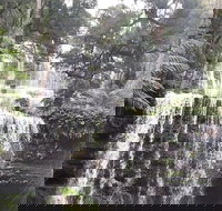 6-Day Hearty Tasmania Tour Tasmania in a Circle - Accommodation Whitsundays