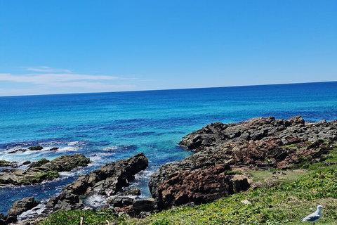 Private Custom Byron Bay Day Out - Accommodation Whitsundays 4