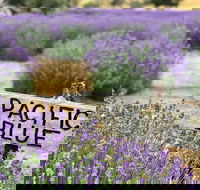 Kangaroo Island Food and Wine Trail Tour - Accommodation Whitsundays