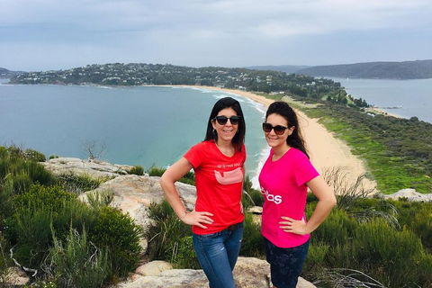 Small-Group Sydney's Northern Beaches And Ku-ring-gai National Park Bus Tour - Accommodation Whitsundays 3
