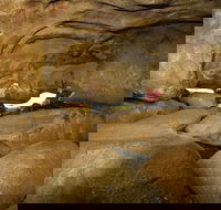 2-Day Wave Rock York Wildflowers  Aboriginal Experience - Accommodation Whitsundays