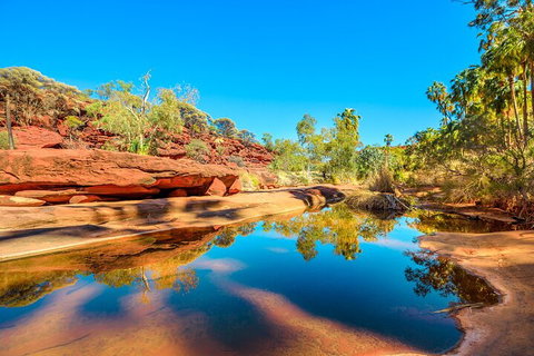 7-Day Guided Tour Of Alice Springs With Accommodation Included - Accommodation Whitsundays 1