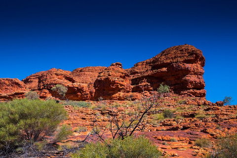 7-Day Guided Tour Of Alice Springs With Accommodation Included - Accommodation Whitsundays 4