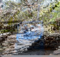 Small-Group Buggy Tour at Little Sahara with Guide - Accommodation Whitsundays