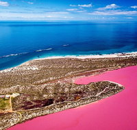 Pink Lake Small-Group Buggy Tour - Accommodation Whitsundays