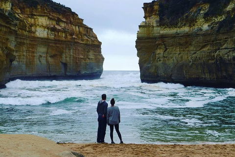 Great Ocean Road Small-Group Ecotour From Melbourne - Accommodation Whitsundays 1