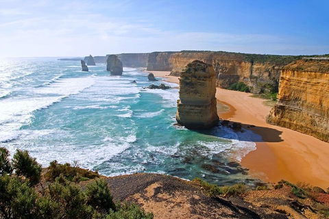 Great Ocean Road Small-Group Ecotour From Melbourne - Accommodation Whitsundays 2