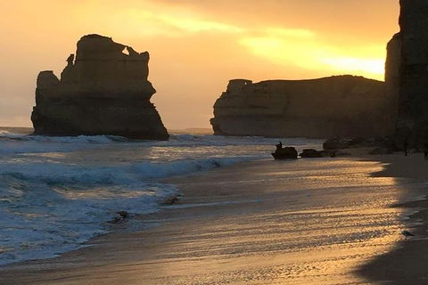 Great Ocean Road Small-Group Ecotour From Melbourne - Accommodation Whitsundays 5