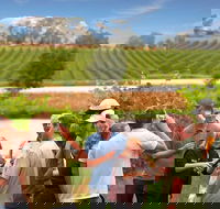 Yarra Valley Wine and Winery Tour from Melbourne - Accommodation Whitsundays