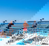 Calypso Outer Great Barrier Reef Cruise from Port Douglas - Accommodation Whitsundays