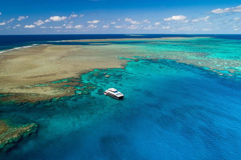 Calypso Outer Great Barrier Reef Cruise From Port Douglas - Accommodation Whitsundays 1