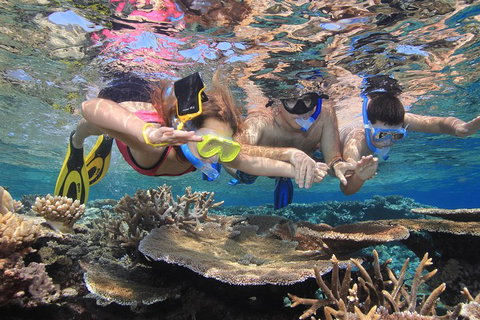 Calypso Outer Great Barrier Reef Cruise From Port Douglas - Accommodation Whitsundays 3