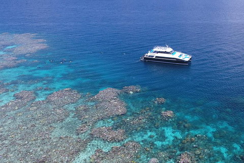 Calypso Outer Great Barrier Reef Cruise From Port Douglas - Accommodation Whitsundays 4