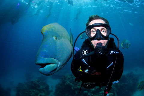 Full Day Reef Cruise Including 10 Minute Heli Scenic Flight: Get High Package - Accommodation Whitsundays 1