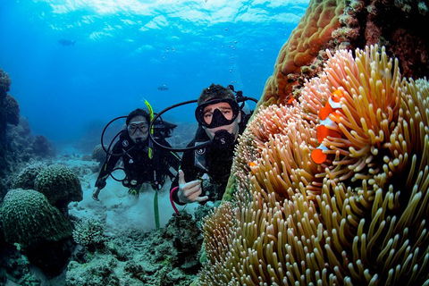 Full Day Reef Cruise Including 10 Minute Heli Scenic Flight: Get High Package - Accommodation Whitsundays 5