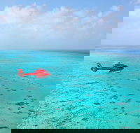 Port Douglas Scenic Flights - Accommodation Whitsundays