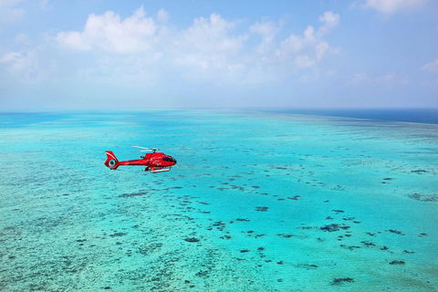 Port Douglas - Cruise And 10 Minute Scenic Flight - Accommodation Whitsundays 1