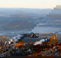 Mt. Wellington Bonorong and Richmond Day Tour from Hobart - Accommodation Whitsundays