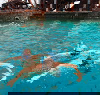 Moreton Island Snorkel and Sandboarding 4WD Day Trip from Brisbane - Accommodation Whitsundays