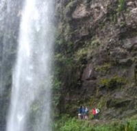 Springbrook National Park Discovery Full-Day Bushwalking Tour - Accommodation Whitsundays