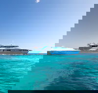 Rottnest Island All-Inclusive Grand Island Tour from Fremantle - Accommodation Whitsundays