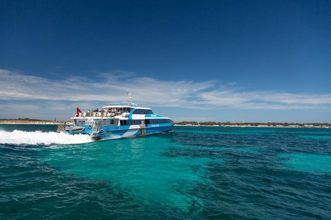 Rottnest Island Bike & Ferry Package From Fremantle - Accommodation Whitsundays 4