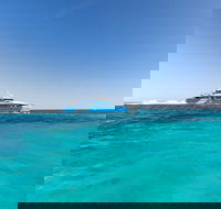 Rottnest Island Fortress Adventure Segway Package from Fremantle - Accommodation Whitsundays